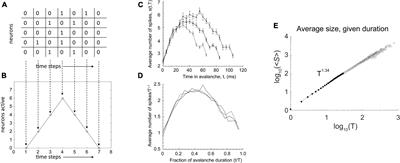 Addressing skepticism of the critical brain hypothesis